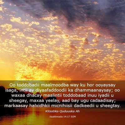 Picture 03 - Xaakinnada 14:17 SOM - Oo toddobadii maalmoodba way ku hor ooyaysay - Bible Verse Picture