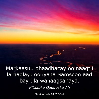 Picture 03 - Xaakinnada 14:7 SOM - Markaasuu dhaadhacay oo naagtii la hadlay; oo - Bible Verse Picture