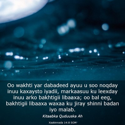 Picture 03 - Xaakinnada 14:8 SOM - Oo wakhti yar dabadeed ayuu u soo noqday inuu - Bible Verse Picture