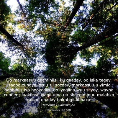Picture 03 - Xaakinnada 14:9 SOM - Oo markaasuu gacmihiisii ku qaaday, oo iska - Bible Verse Picture