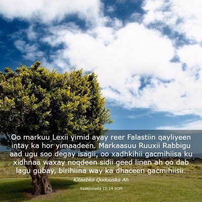 Picture 03 - Xaakinnada 15:14 SOM - Oo markuu Lexii yimid ayay reer Falastiin - Bible Verse Picture