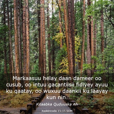 Picture 03 - Xaakinnada 15:15 SOM - Markaasuu helay daan dameer oo cusub, oo intuu - Bible Verse Picture