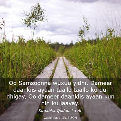 Picture 03 - Xaakinnada 15:16 SOM - Oo Samsoonna wuxuu yidhi, Dameer daankiis ayaan - Bible Verse Picture