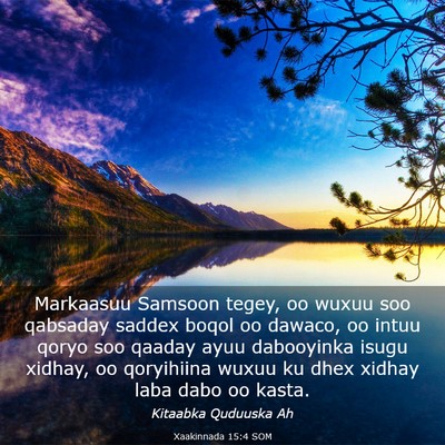 Picture 03 - Xaakinnada 15:4 SOM - Markaasuu Samsoon tegey, oo wuxuu soo qabsaday - Bible Verse Picture