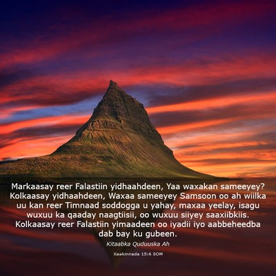 Picture 03 - Xaakinnada 15:6 SOM - Markaasay reer Falastiin yidhaahdeen, Yaa waxakan - Bible Verse Picture