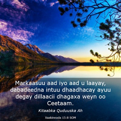 Picture 03 - Xaakinnada 15:8 SOM - Markaasuu aad iyo aad u laayay, dabadeedna intuu - Bible Verse Picture
