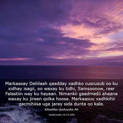 Picture 03 - Xaakinnada 16:12 SOM - Markaasay Deliilaah qaadday xadhko cuscusub oo ku - Bible Verse Picture