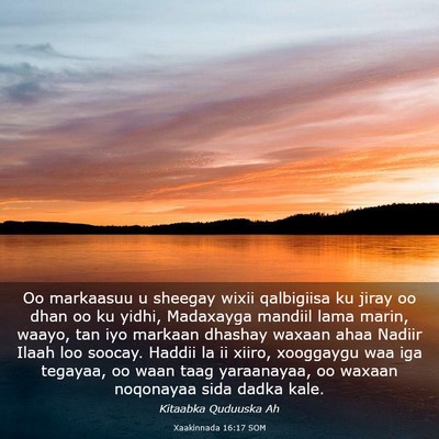 Picture 03 - Xaakinnada 16:17 SOM - Oo markaasuu u sheegay wixii qalbigiisa ku jiray - Bible Verse Picture