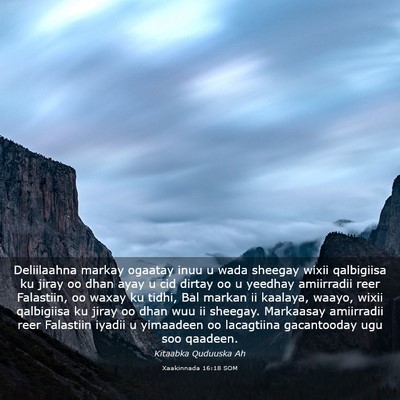 Picture 03 - Xaakinnada 16:18 SOM - Deliilaahna markay ogaatay inuu u wada sheegay - Bible Verse Picture