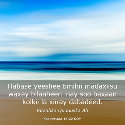 Picture 03 - Xaakinnada 16:22 SOM - Habase yeeshee timihii madaxiisu waxay bilaabeen - Bible Verse Picture