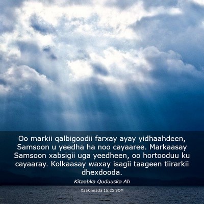 Picture 03 - Xaakinnada 16:25 SOM - Oo markii qalbigoodii farxay ayay yidhaahdeen, - Bible Verse Picture