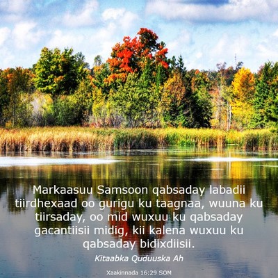 Picture 03 - Xaakinnada 16:29 SOM - Markaasuu Samsoon qabsaday labadii tiirdhexaad oo - Bible Verse Picture
