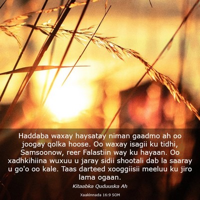 Picture 03 - Xaakinnada 16:9 SOM - Haddaba waxay haysatay niman gaadmo ah oo joogay - Bible Verse Picture