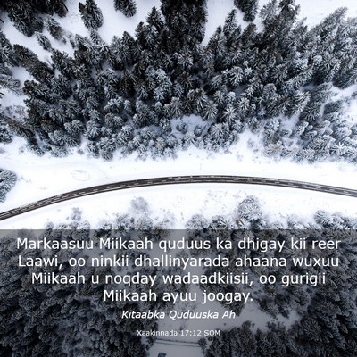 Picture 03 - Xaakinnada 17:12 SOM - Markaasuu Miikaah quduus ka dhigay kii reer - Bible Verse Picture