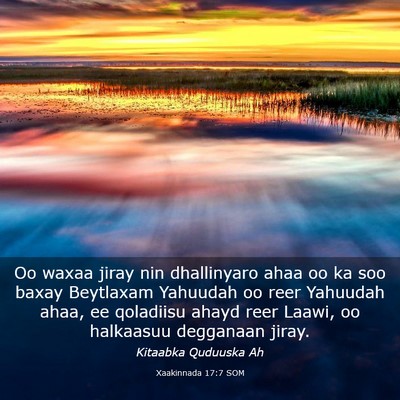 Picture 03 - Xaakinnada 17:7 SOM - Oo waxaa jiray nin dhallinyaro ahaa oo ka soo - Bible Verse Picture