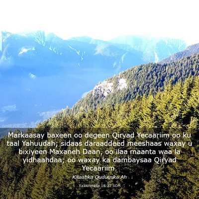 Picture 03 - Xaakinnada 18:12 SOM - Markaasay baxeen oo degeen Qiryad Yecaariim oo ku - Bible Verse Picture