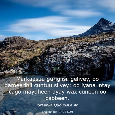 Picture 03 - Xaakinnada 19:21 SOM - Markaasuu gurigiisii geliyey, oo dameerihii - Bible Verse Picture