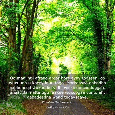 Picture 03 - Xaakinnada 19:5 SOM - Oo maalintii afraad aroor hore ayay tooseen, oo - Bible Verse Picture