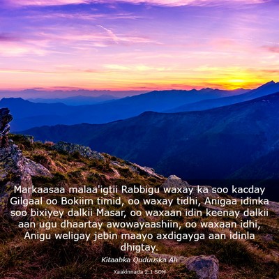 Picture 03 - Xaakinnada 2:1 SOM - Markaasaa malaa'igtii Rabbigu waxay ka soo kacday - Bible Verse Picture