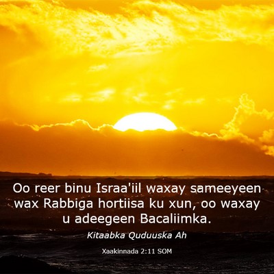 Picture 03 - Xaakinnada 2:11 SOM - Oo reer binu Israa'iil waxay sameeyeen wax - Bible Verse Picture