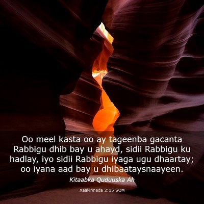 Picture 03 - Xaakinnada 2:15 SOM - Oo meel kasta oo ay tageenba gacanta Rabbigu dhib - Bible Verse Picture