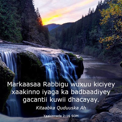 Picture 03 - Xaakinnada 2:16 SOM - Markaasaa Rabbigu wuxuu kiciyey xaakinno iyaga ka - Bible Verse Picture