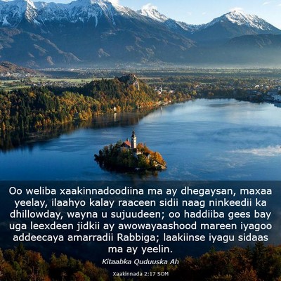Picture 03 - Xaakinnada 2:17 SOM - Oo weliba xaakinnadoodiina ma ay dhegaysan, maxaa - Bible Verse Picture
