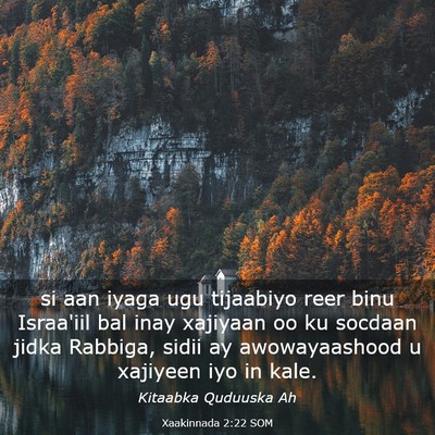 Picture 03 - Xaakinnada 2:22 SOM - si aan iyaga ugu tijaabiyo reer binu Israa'iil - Bible Verse Picture