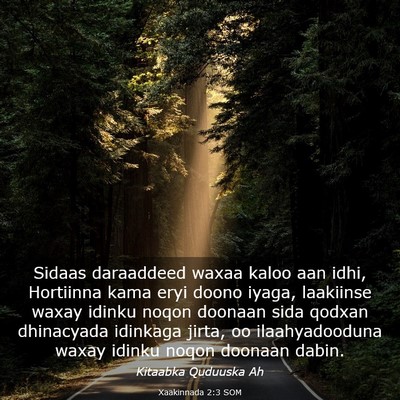 Picture 03 - Xaakinnada 2:3 SOM - Sidaas daraaddeed waxaa kaloo aan idhi, Hortiinna - Bible Verse Picture