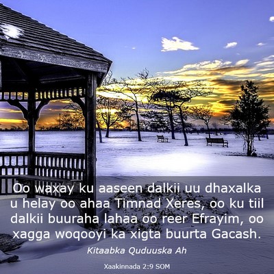 Picture 03 - Xaakinnada 2:9 SOM - Oo waxay ku aaseen dalkii uu dhaxalka u helay oo - Bible Verse Picture