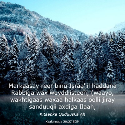 Picture 03 - Xaakinnada 20:27 SOM - Markaasay reer binu Israa'iil haddana Rabbiga wax - Bible Verse Picture