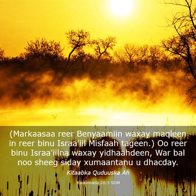 Picture 03 - Xaakinnada 20:3 SOM - (Markaasaa reer Benyaamiin waxay maqleen in reer - Bible Verse Picture