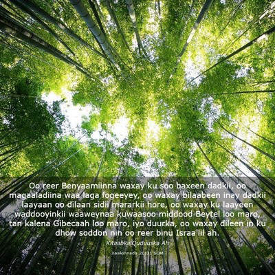 Picture 03 - Xaakinnada 20:31 SOM - Oo reer Benyaamiinna waxay ku soo baxeen dadkii, - Bible Verse Picture