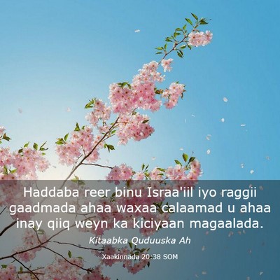 Picture 03 - Xaakinnada 20:38 SOM - Haddaba reer binu Israa'iil iyo raggii gaadmada - Bible Verse Picture