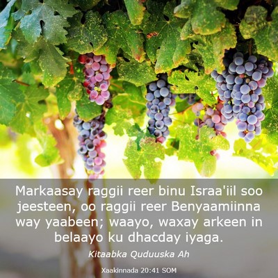 Picture 03 - Xaakinnada 20:41 SOM - Markaasay raggii reer binu Israa'iil soo - Bible Verse Picture