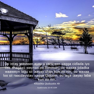 Picture 03 - Xaakinnada 20:45 SOM - Oo intay jeesteen ayay u carareen xagga cidlada - Bible Verse Picture