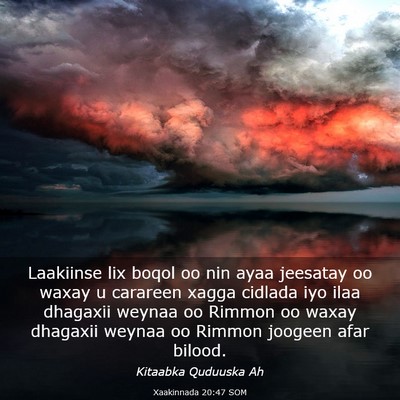 Picture 03 - Xaakinnada 20:47 SOM - Laakiinse lix boqol oo nin ayaa jeesatay oo waxay - Bible Verse Picture
