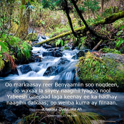 Picture 03 - Xaakinnada 21:14 SOM - Oo markaasay reer Benyaamiin soo noqdeen, oo - Bible Verse Picture