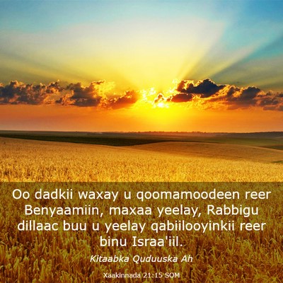 Picture 03 - Xaakinnada 21:15 SOM - Oo dadkii waxay u qoomamoodeen reer Benyaamiin, - Bible Verse Picture
