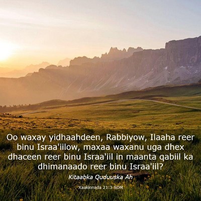 Picture 03 - Xaakinnada 21:3 SOM - Oo waxay yidhaahdeen, Rabbiyow, Ilaaha reer binu - Bible Verse Picture