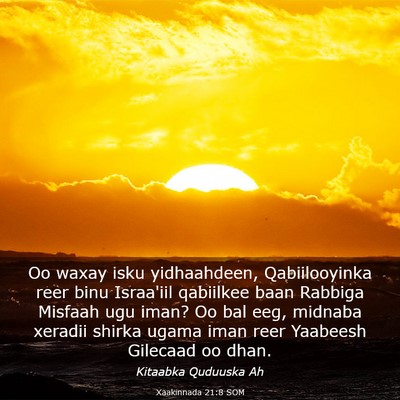 Picture 03 - Xaakinnada 21:8 SOM - Oo waxay isku yidhaahdeen, Qabiilooyinka reer - Bible Verse Picture