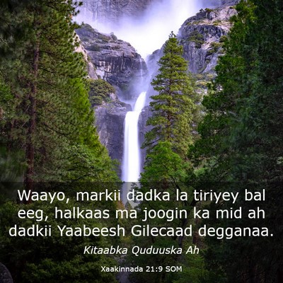 Picture 03 - Xaakinnada 21:9 SOM - Waayo, markii dadka la tiriyey bal eeg, halkaas - Bible Verse Picture