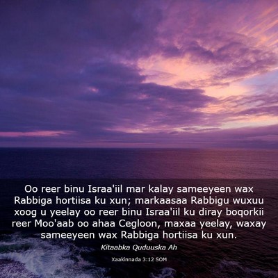 Picture 03 - Xaakinnada 3:12 SOM - Oo reer binu Israa'iil mar kalay sameeyeen wax - Bible Verse Picture