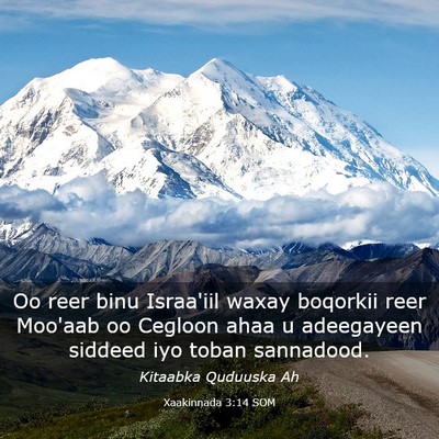 Picture 03 - Xaakinnada 3:14 SOM - Oo reer binu Israa'iil waxay boqorkii reer - Bible Verse Picture