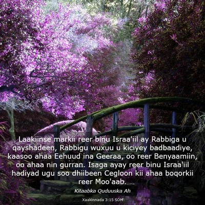 Picture 03 - Xaakinnada 3:15 SOM - Laakiinse markii reer binu Israa'iil ay Rabbiga u - Bible Verse Picture