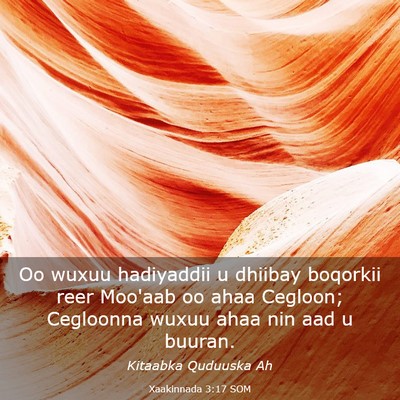 Picture 03 - Xaakinnada 3:17 SOM - Oo wuxuu hadiyaddii u dhiibay boqorkii reer - Bible Verse Picture