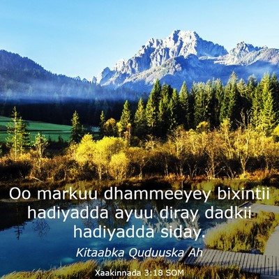 Picture 03 - Xaakinnada 3:18 SOM - Oo markuu dhammeeyey bixintii hadiyadda ayuu - Bible Verse Picture