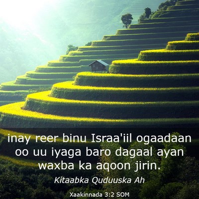 Picture 03 - Xaakinnada 3:2 SOM - inay reer binu Israa'iil ogaadaan oo uu iyaga - Bible Verse Picture