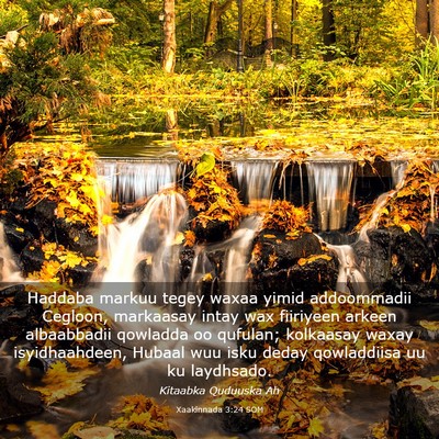 Picture 03 - Xaakinnada 3:24 SOM - Haddaba markuu tegey waxaa yimid addoommadii - Bible Verse Picture