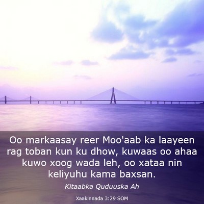 Picture 03 - Xaakinnada 3:29 SOM - Oo markaasay reer Moo'aab ka laayeen rag toban - Bible Verse Picture